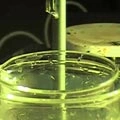 supplier of HYDROBROMIC ACID